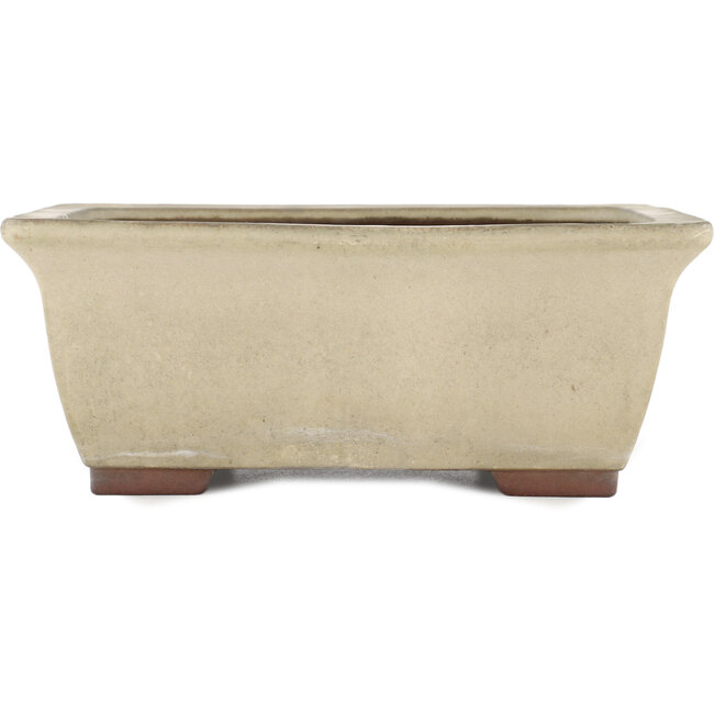 Rectangular off-white bonsai pot by Yamaaki - 315 x 245 x 125 mm