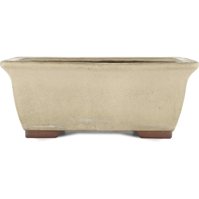 Rectangular off-white bonsai pot by Yamaaki - 315 x 245 x 125 mm