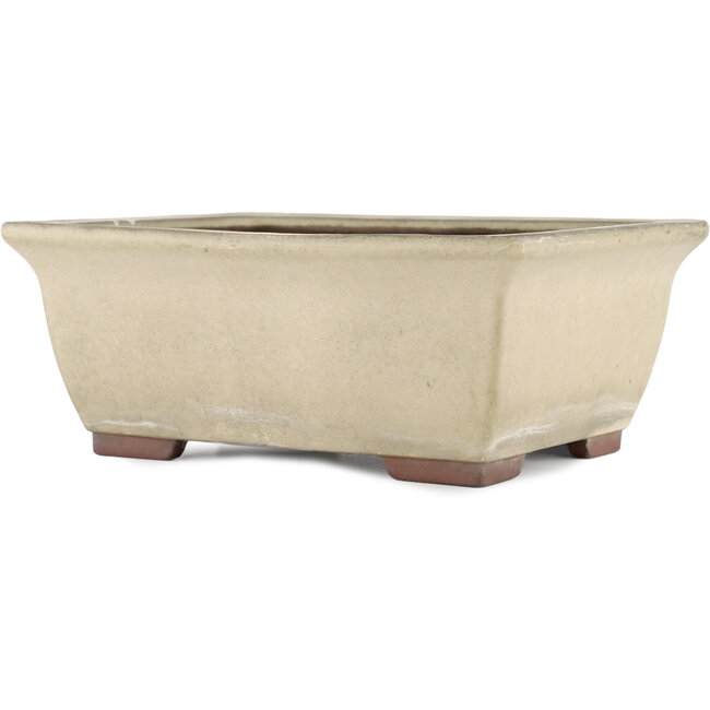 Rechteckiger cremeweißer Bonsaitopf von Yamaaki - 315 x 245 x 125 mm