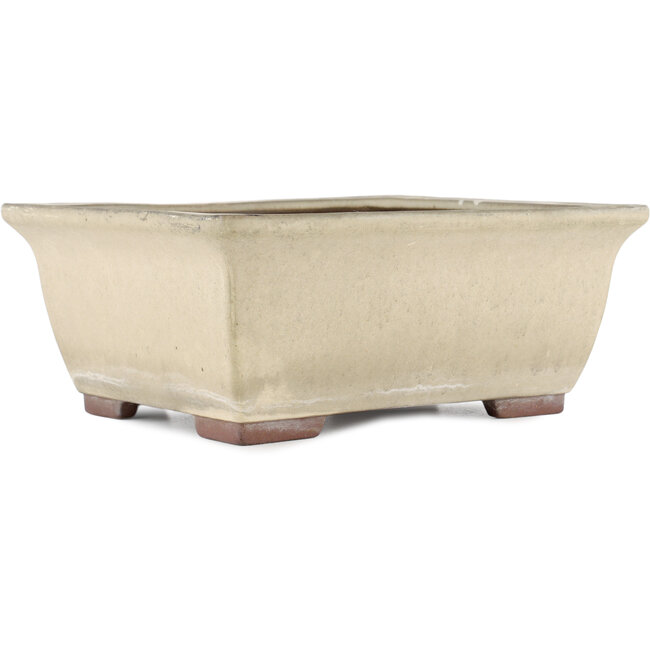 Rechteckiger cremeweißer Bonsaitopf von Yamaaki - 315 x 245 x 125 mm