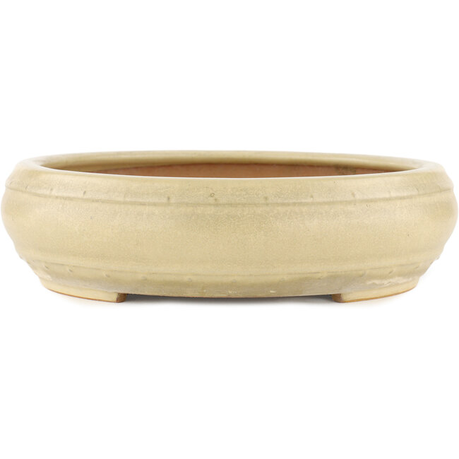 Vaso bonsai rotondo bianco sporco di Reiho - 320 x 320 x 80 mm