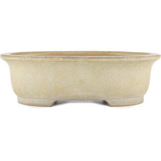 Yamafusa - Takehiko Koie 343 mm  off-white bonsai pot by Yamafusa, Tokoname, Japan