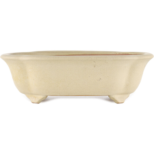 Pot à bonsaï Mokko blanc cassé par Reiho - 348 x 288 x 105 mm