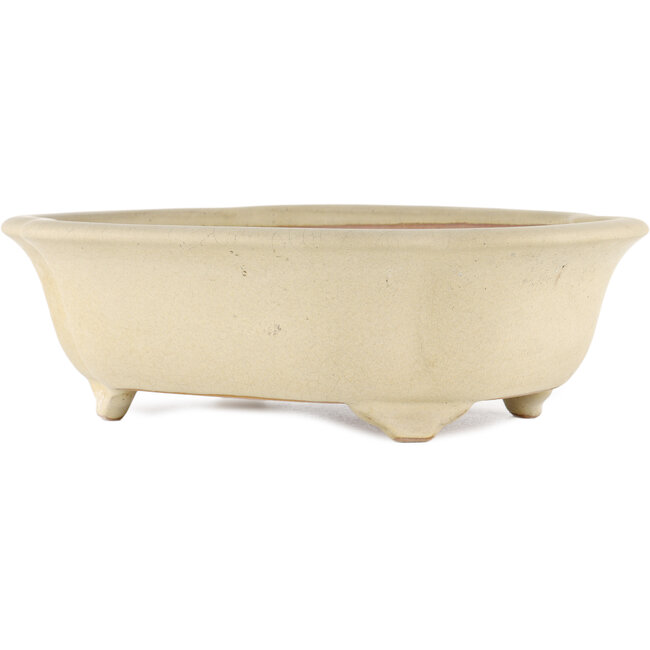 Vaso bonsai Mokko bianco sporco di Reiho - 348 x 288 x 105 mm