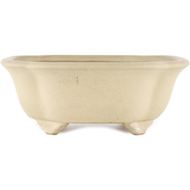 Maceta para bonsái Mokko blanco roto de Reiho - 348 x 288 x 105 mm