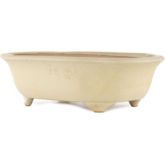 Mokko off-white bonsai pot by Reiho - 348 x 288 x 105 mm