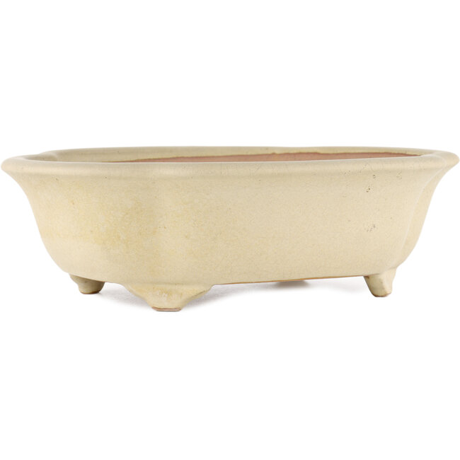 Mokko off-white bonsai pot by Reiho - 348 x 288 x 105 mm