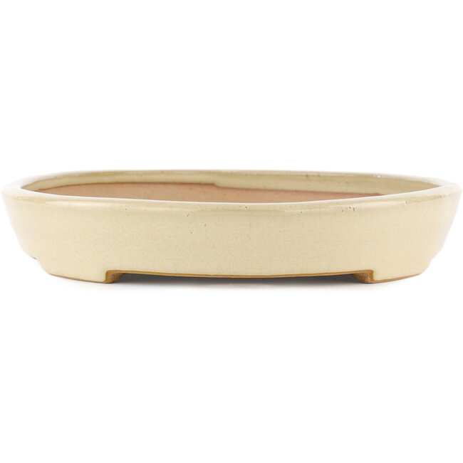 Oval off-white bonsai pot by Reiho - 380 x 254 x 45 mm