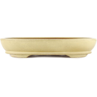 Hattori Tomoyuki 367 mm  off-white bonsai pot by Hattori, Tokoname, Japan