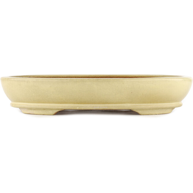 Oval off-white bonsai pot by Hattori - 367 x 285 x 65 mm