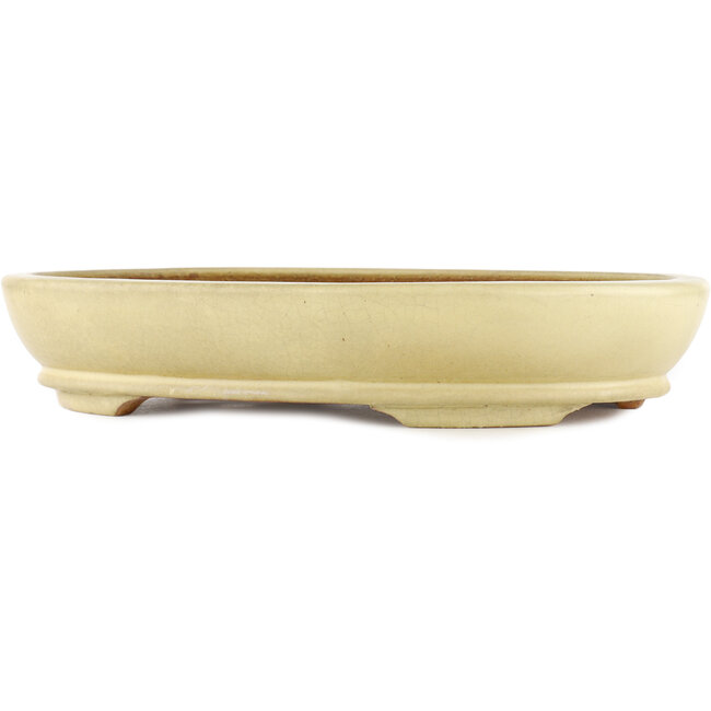 Oval off-white bonsai pot by Hattori - 367 x 285 x 65 mm