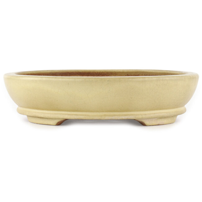 Ovaler cremefarbener Bonsai-Topf von Hattori - 367 x 285 x 65 mm