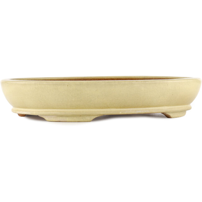 Pot à bonsaï ovale blanc cassé par Hattori - 367 x 285 x 65 mm