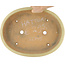 Oval off-white bonsai pot by Hattori - 367 x 285 x 65 mm