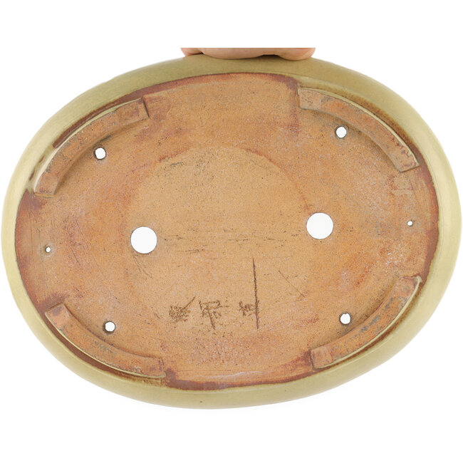 Pot à bonsaï ovale blanc cassé par Hattori - 367 x 285 x 65 mm