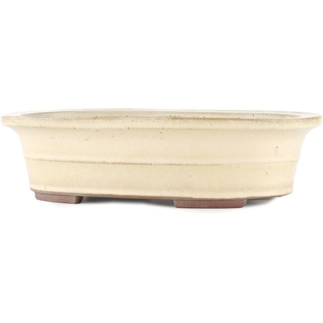 Maceta para bonsái ovalada blanco roto de Yamaaki - 373 x 294 x 96 mm