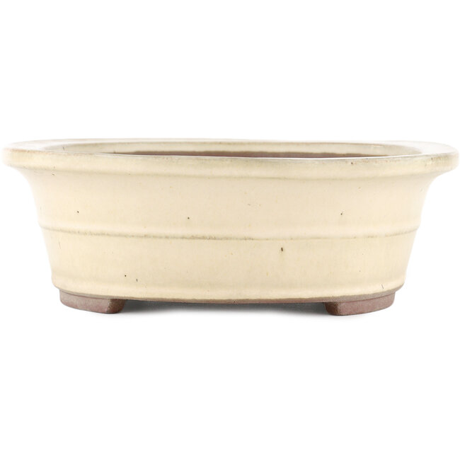 Maceta para bonsái ovalada blanco roto de Yamaaki - 373 x 294 x 96 mm