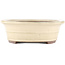 Oval off-white bonsai pot by Yamaaki - 373 x 294 x 96 mm