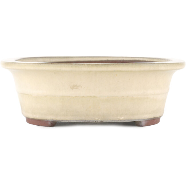 Maceta para bonsái ovalada blanco roto de Yamaaki - 373 x 295 x 98 mm