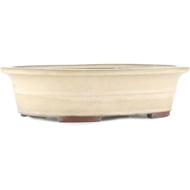 Oval off-white bonsai pot by Yamaaki - 373 x 295 x 98 mm