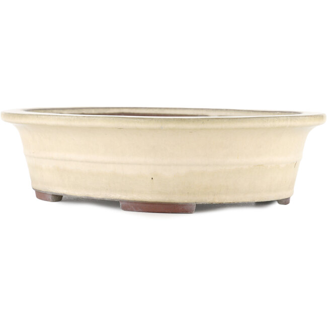 Maceta para bonsái ovalada blanco roto de Yamaaki - 373 x 295 x 98 mm