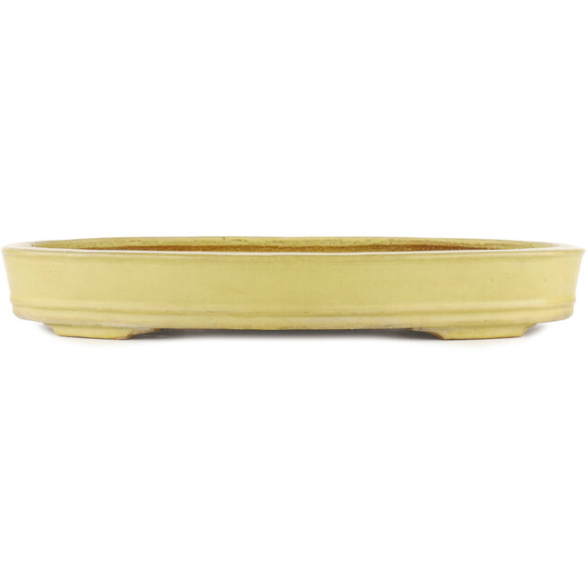 Ovaler gelber Bonsai-Topf von Hattori - 403 x 300 x 58 mm