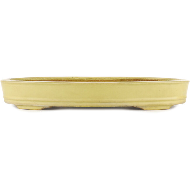 Pot à bonsaï ovale jaune par Hattori - 403 x 300 x 58 mm