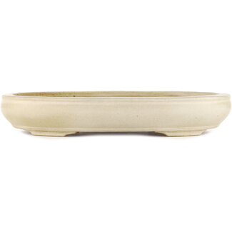  Hattori Tomoyuki Vaso bonsai bianco sporco da 372 mm di Hattori, Tokoname, Giappone