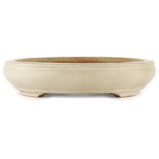 Oval off-white bonsai pot by Hattori - 372 x 290 x 60 mm