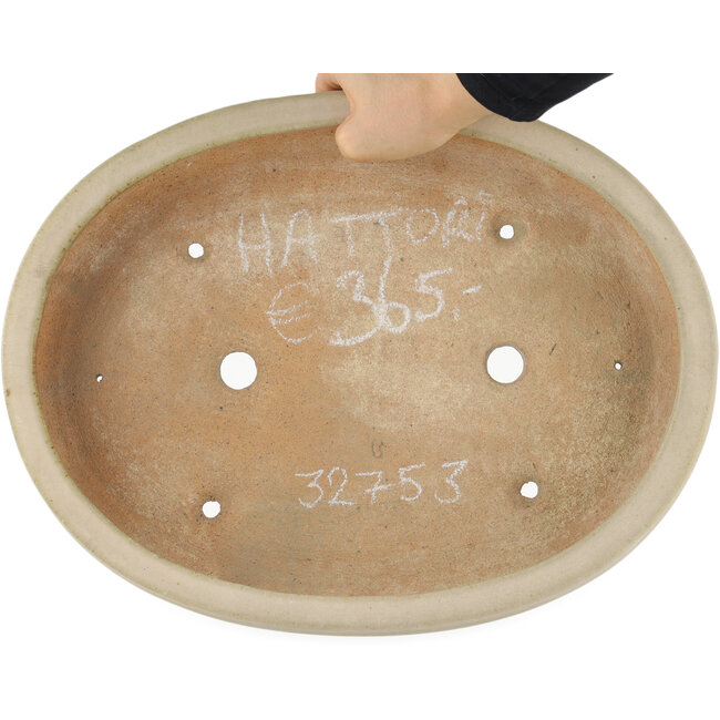 Pot à bonsaï ovale blanc cassé par Hattori - 372 x 290 x 60 mm