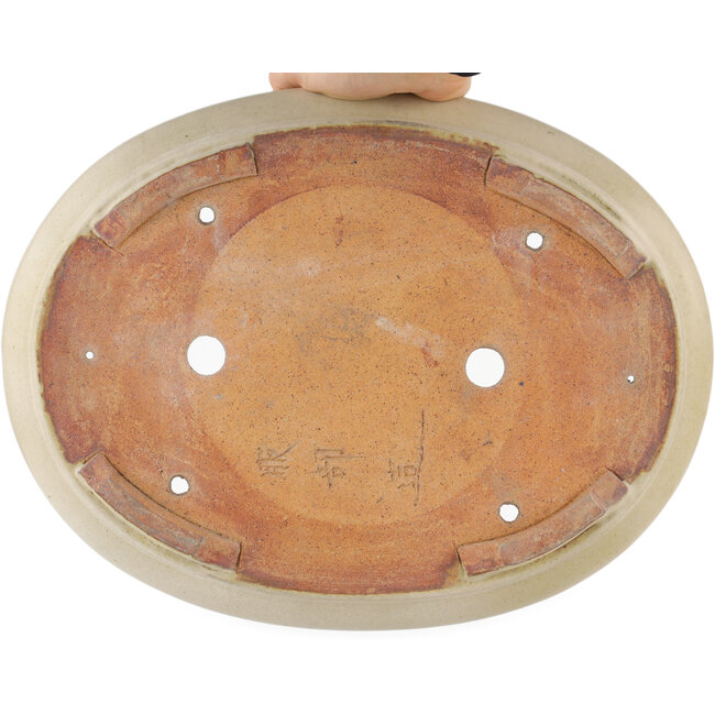 Oval off-white bonsai pot by Hattori - 372 x 290 x 60 mm