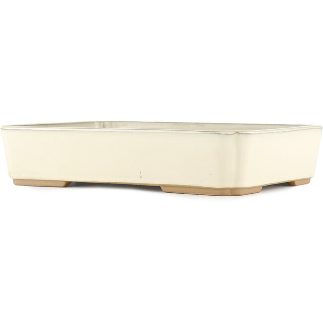 Rectangular off-white bonsai pot by Tokoname - 368 x 269 x 75 mm