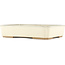 Rectangular off-white bonsai pot by Tokoname - 368 x 269 x 75 mm