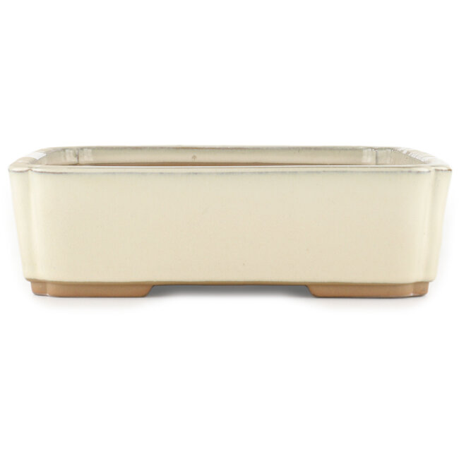 Vaso bonsai rettangolare bianco sporco di Tokoname - 368 x 269 x 75 mm