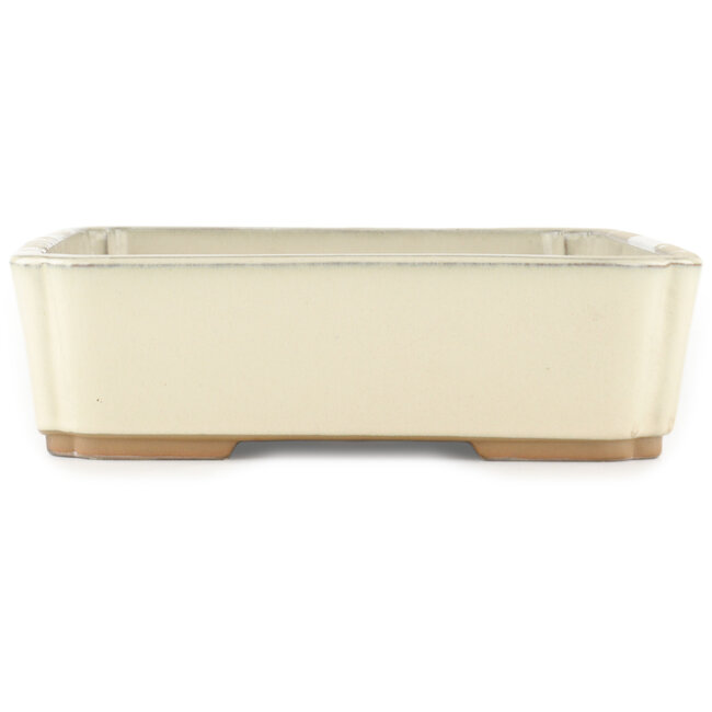 Pot à bonsaï rectangulaire blanc cassé par Tokoname - 368 x 269 x 75 mm