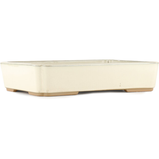 Maceta rectangular para bonsái blanco roto de Tokoname - 368 x 269 x 75 mm