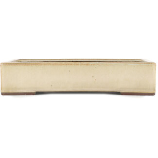  Yamaaki Maceta para bonsái color hueso de 373 mm de Yamaaki, Tokoname, Japón