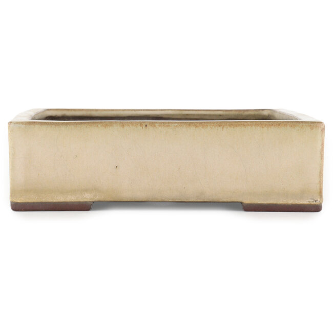 Pot à bonsaï rectangulaire blanc cassé par Yamaaki - 373 x 280 x 78 mm