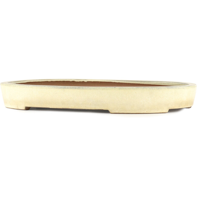 Oval off-white bonsai pot - 410 x 303 x 51 mm