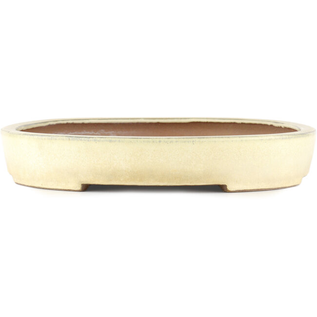 Oval off-white bonsai pot - 410 x 303 x 51 mm
