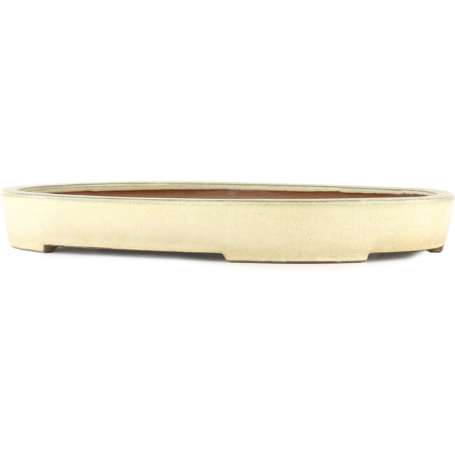 Vaso bonsai ovale bianco sporco - 410 x 303 x 51 mm