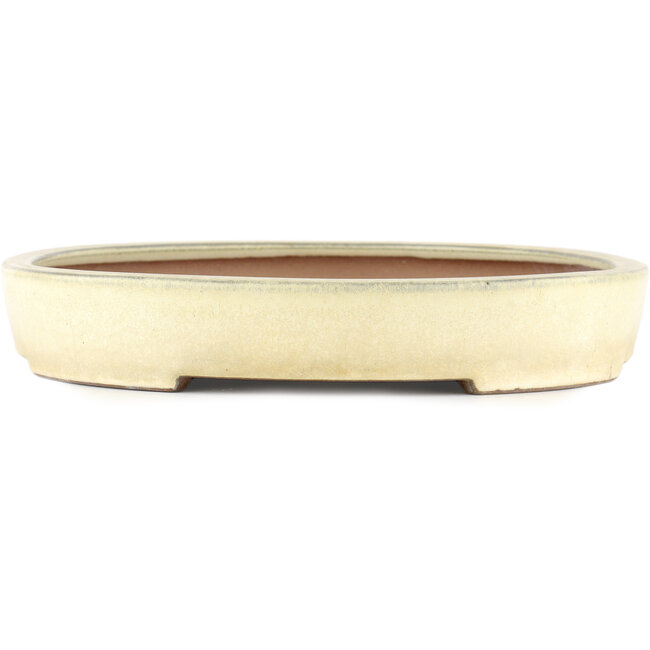 Pot à bonsaï ovale blanc cassé - 410 x 303 x 51 mm