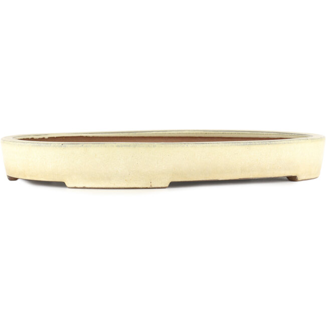 Oval off-white bonsai pot - 410 x 303 x 51 mm
