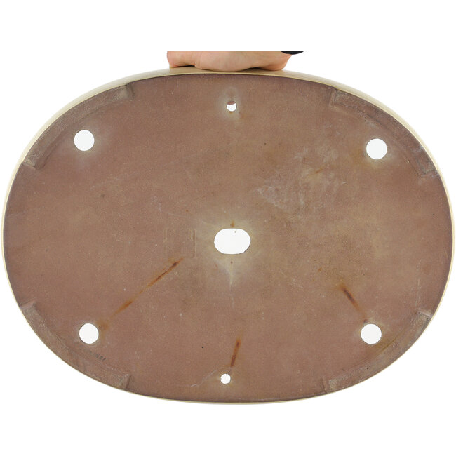 Pot à bonsaï ovale blanc cassé - 410 x 303 x 51 mm