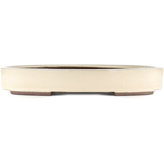 Yamaaki Vaso bonsai bianco sporco da 403 mm di Yamaaki, Tokoname, Giappone