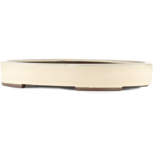 Maceta para bonsái ovalada blanco roto de Yamaaki - 403 x 292 x 63 mm