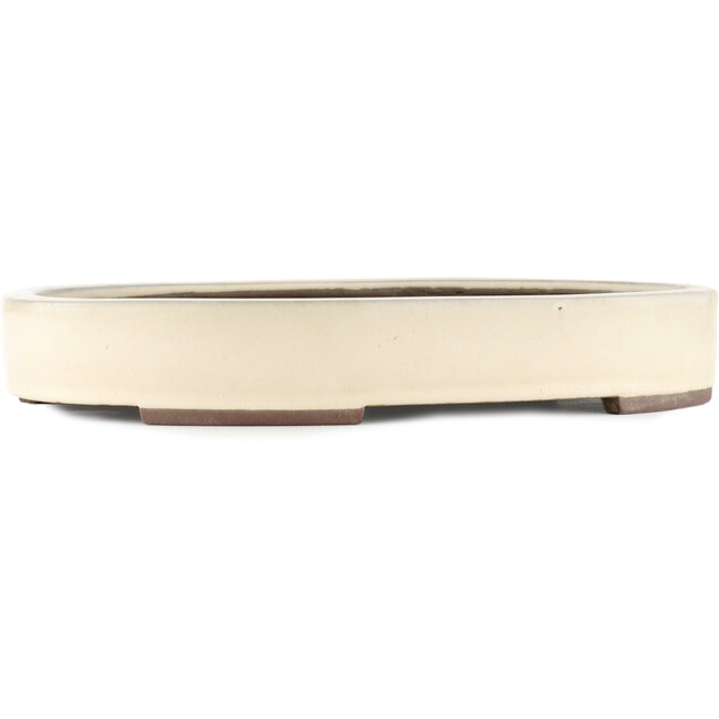 Pot à bonsaï ovale blanc cassé par Yamaaki - 403 x 292 x 63 mm