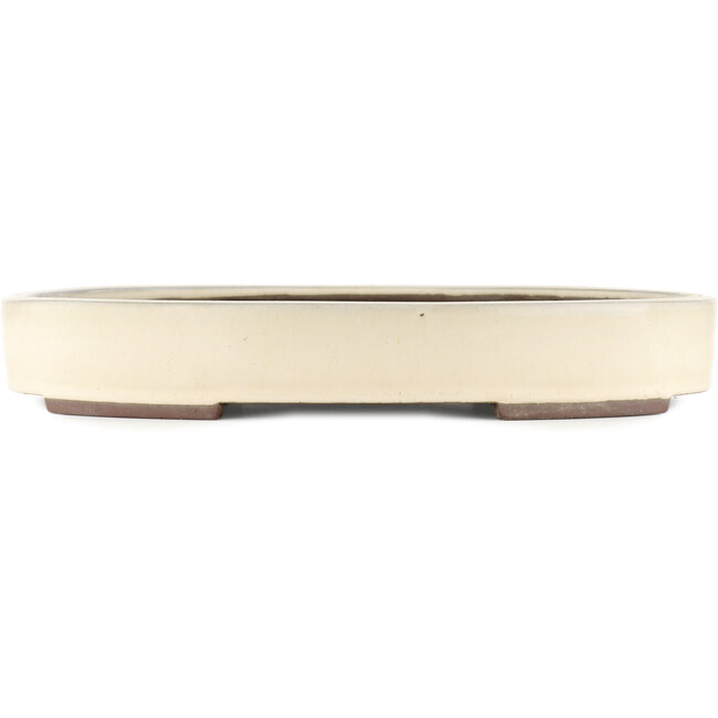 Oval off-white bonsai pot by Yamaaki - 403 x 292 x 63 mm