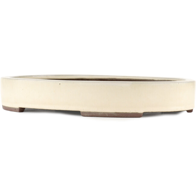 Maceta para bonsái ovalada blanco roto de Yamaaki - 403 x 292 x 63 mm
