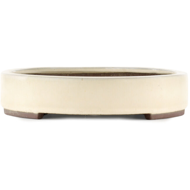 Oval off-white bonsai pot by Yamaaki - 403 x 292 x 63 mm